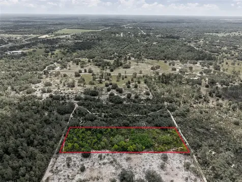 11290 NE 56th Street Bronson FL 32621