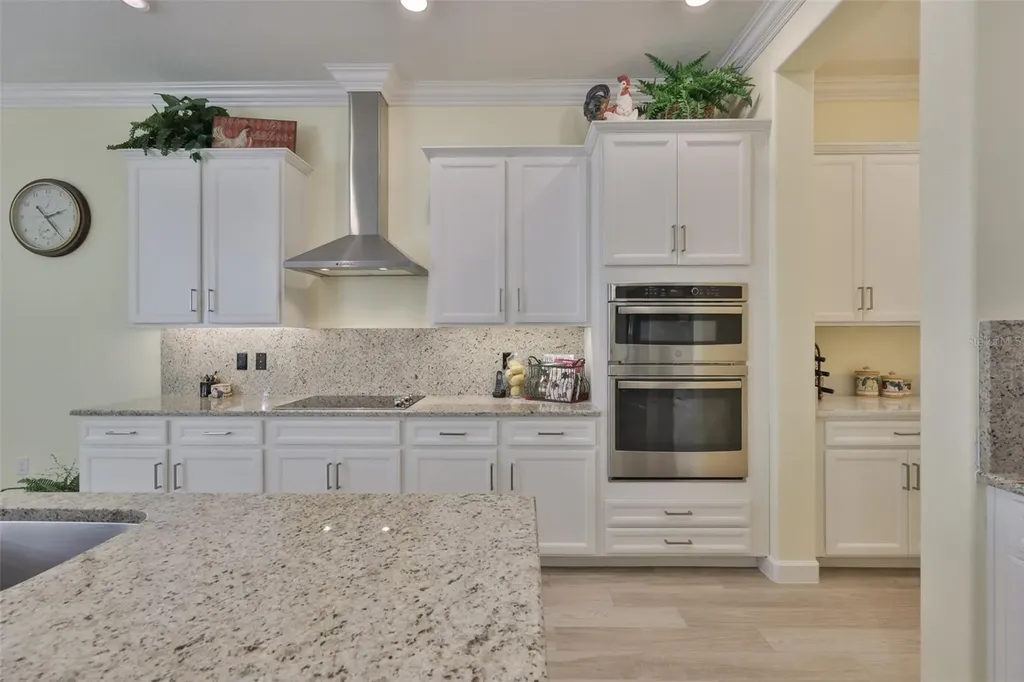16955 Scuba Crest Street Wimauma FL 33598