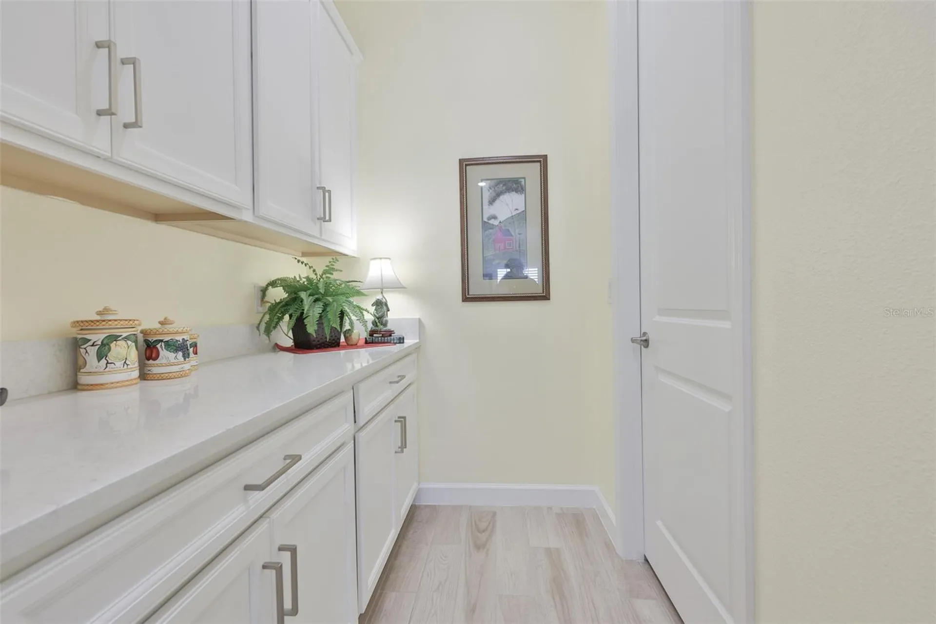 16955 Scuba Crest Street Wimauma FL 33598