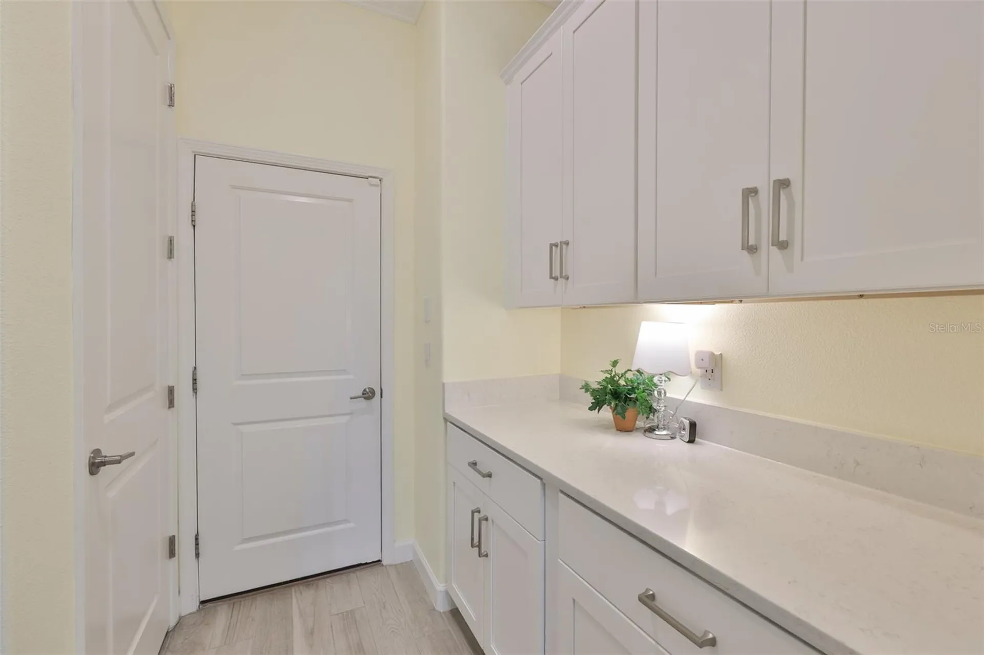 16955 Scuba Crest Street Wimauma FL 33598