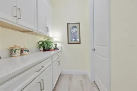 16955 Scuba Crest Street Wimauma FL 33598