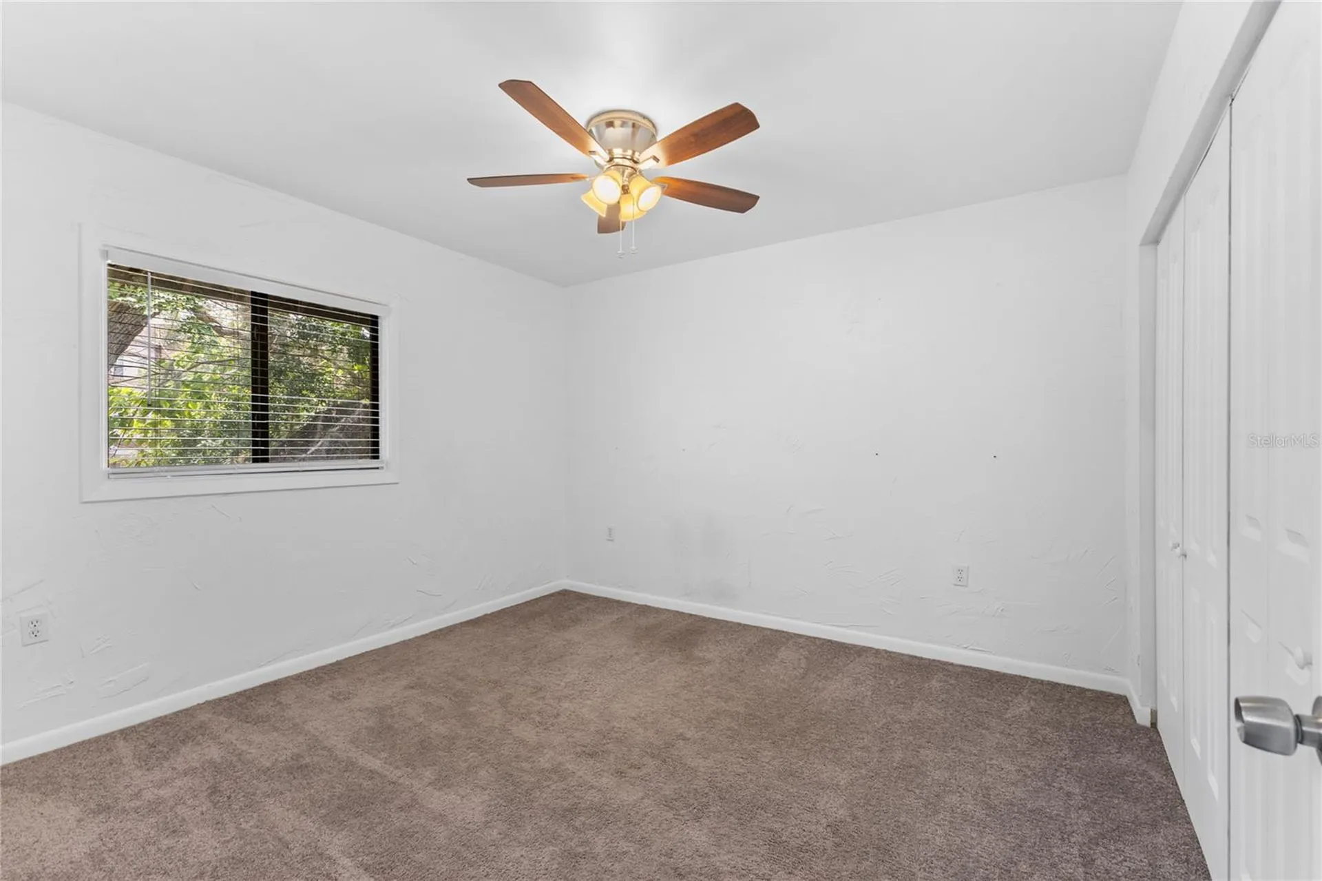 5641 Ashley Oaks Drive Tampa FL 33617