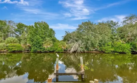 236 N Saint Thomas Circle Apollo Beach FL 33572