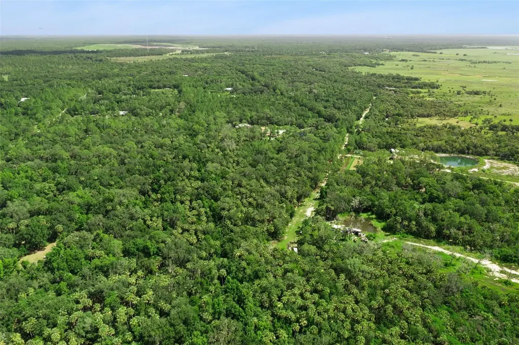 2401 Canvasback Trail Geneva FL 32732