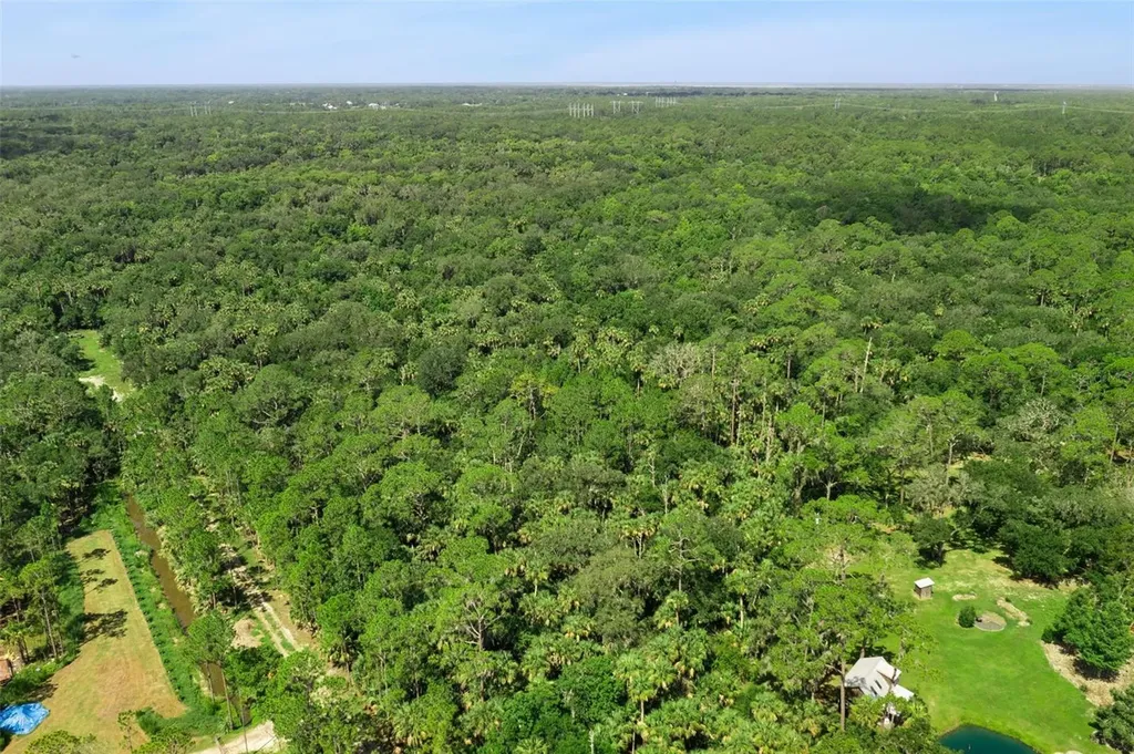 2401 Canvasback Trail Geneva FL 32732