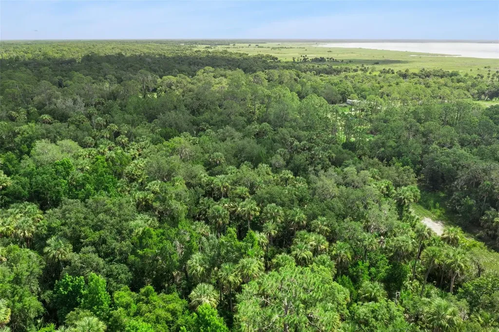 2401 Canvasback Trail Geneva FL 32732