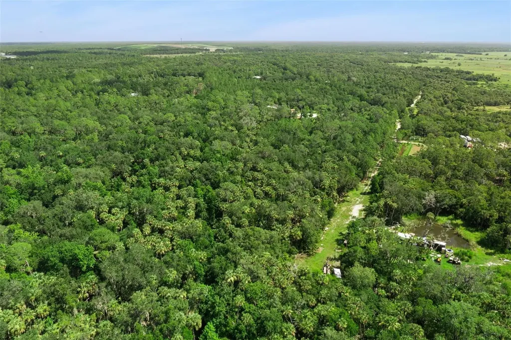 2401 Canvasback Trail Geneva FL 32732