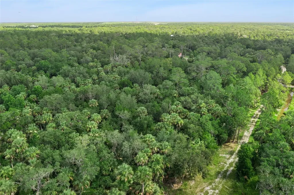 2401 Canvasback Trail Geneva FL 32732