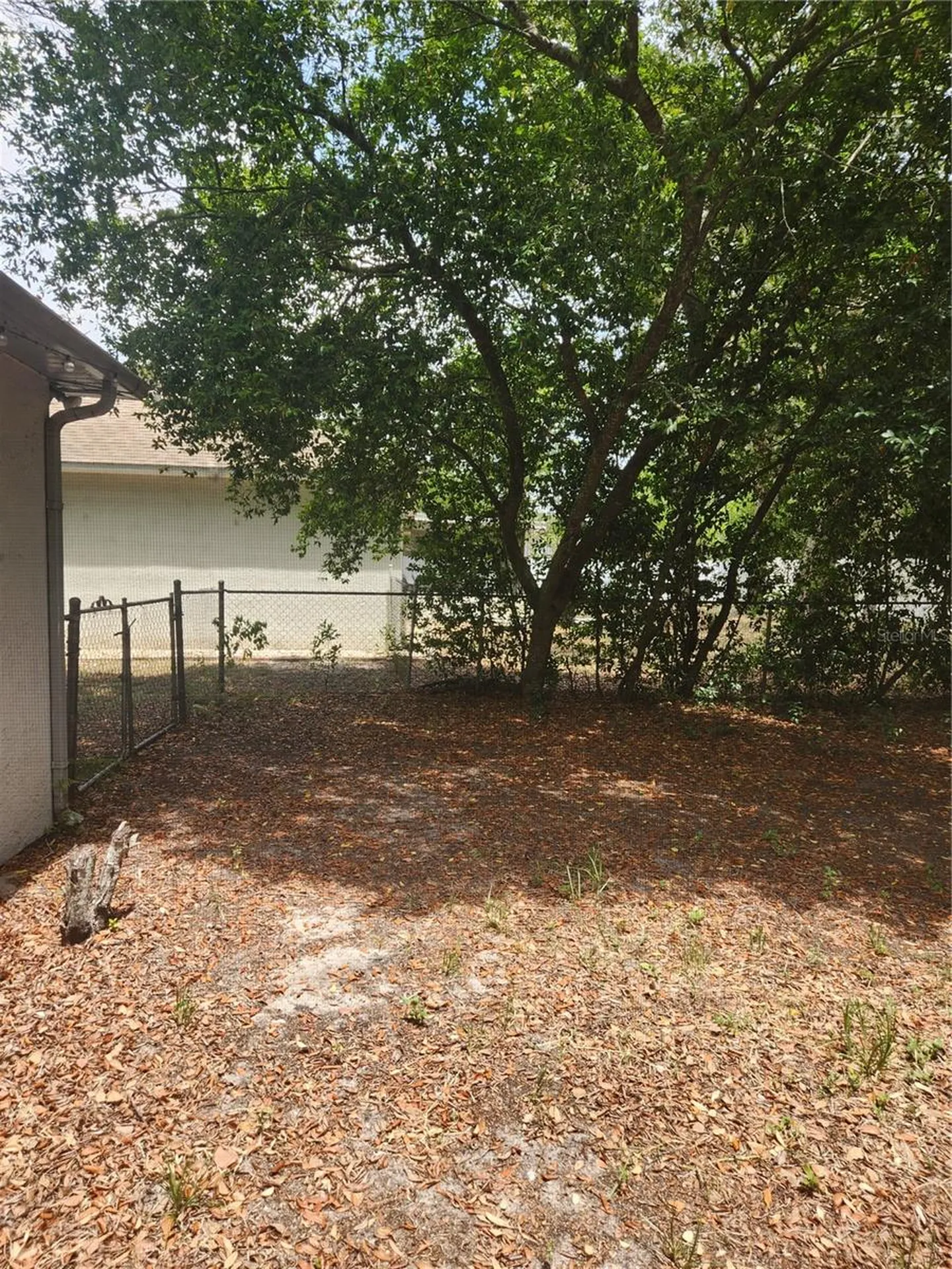6202 Piedmont Drive Spring Hill FL 34606
