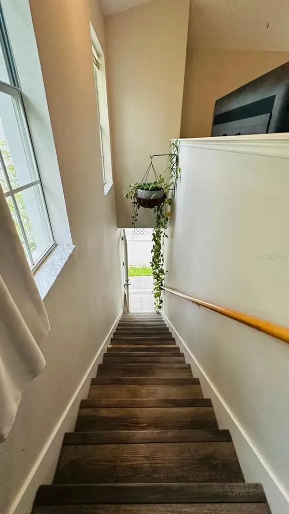 14533 Cotswolds Drive Tampa FL 33626