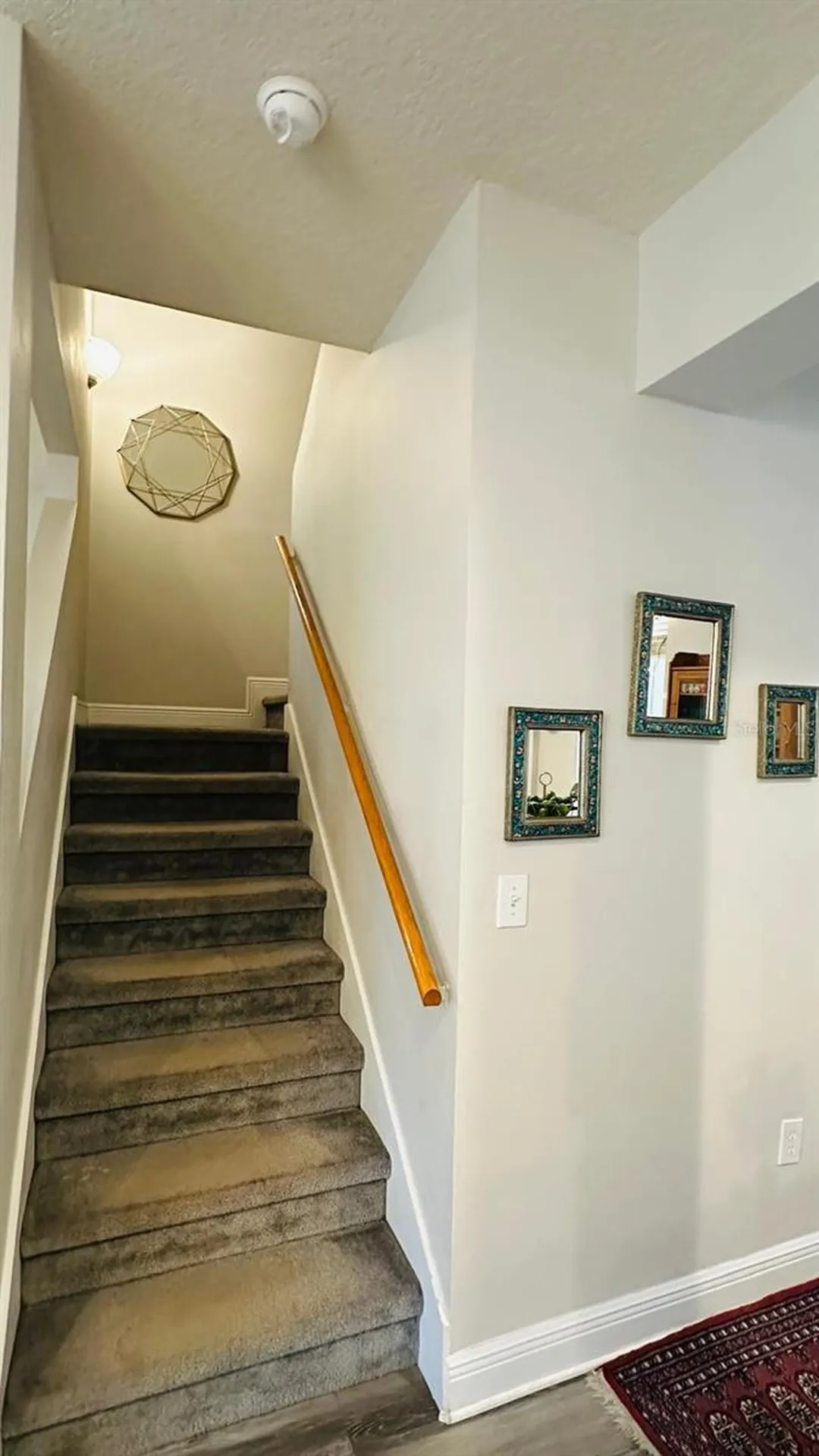 14533 Cotswolds Drive Tampa FL 33626