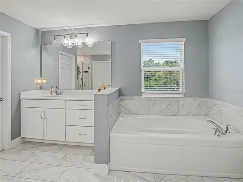 5270 Obsidian Gate Drive Mount Dora FL 32757