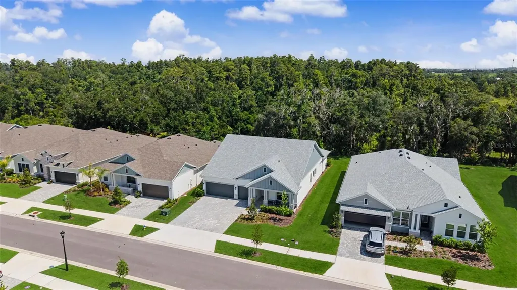 31537 Hayman Loop Wesley Chapel FL 33543