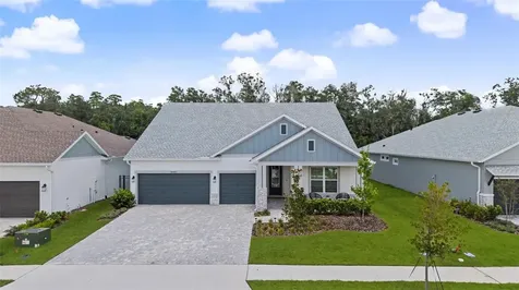 31537 Hayman Loop Wesley Chapel FL 33543