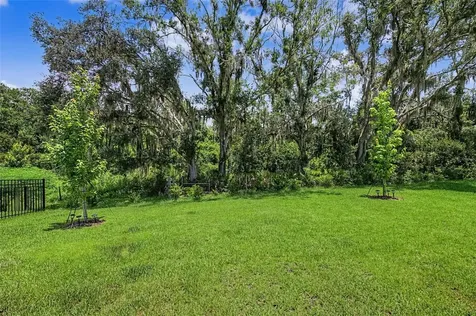 31537 Hayman Loop Wesley Chapel FL 33543