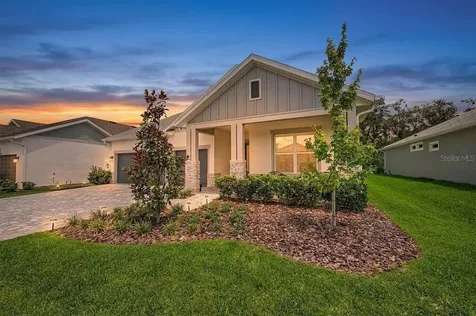 31537 Hayman Loop Wesley Chapel FL 33543