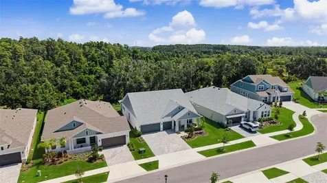 31537 Hayman Loop Wesley Chapel FL 33543