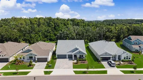 31537 Hayman Loop Wesley Chapel FL 33543