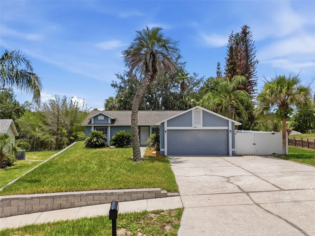 10641 Lake Ralph Drive Clermont FL 34711