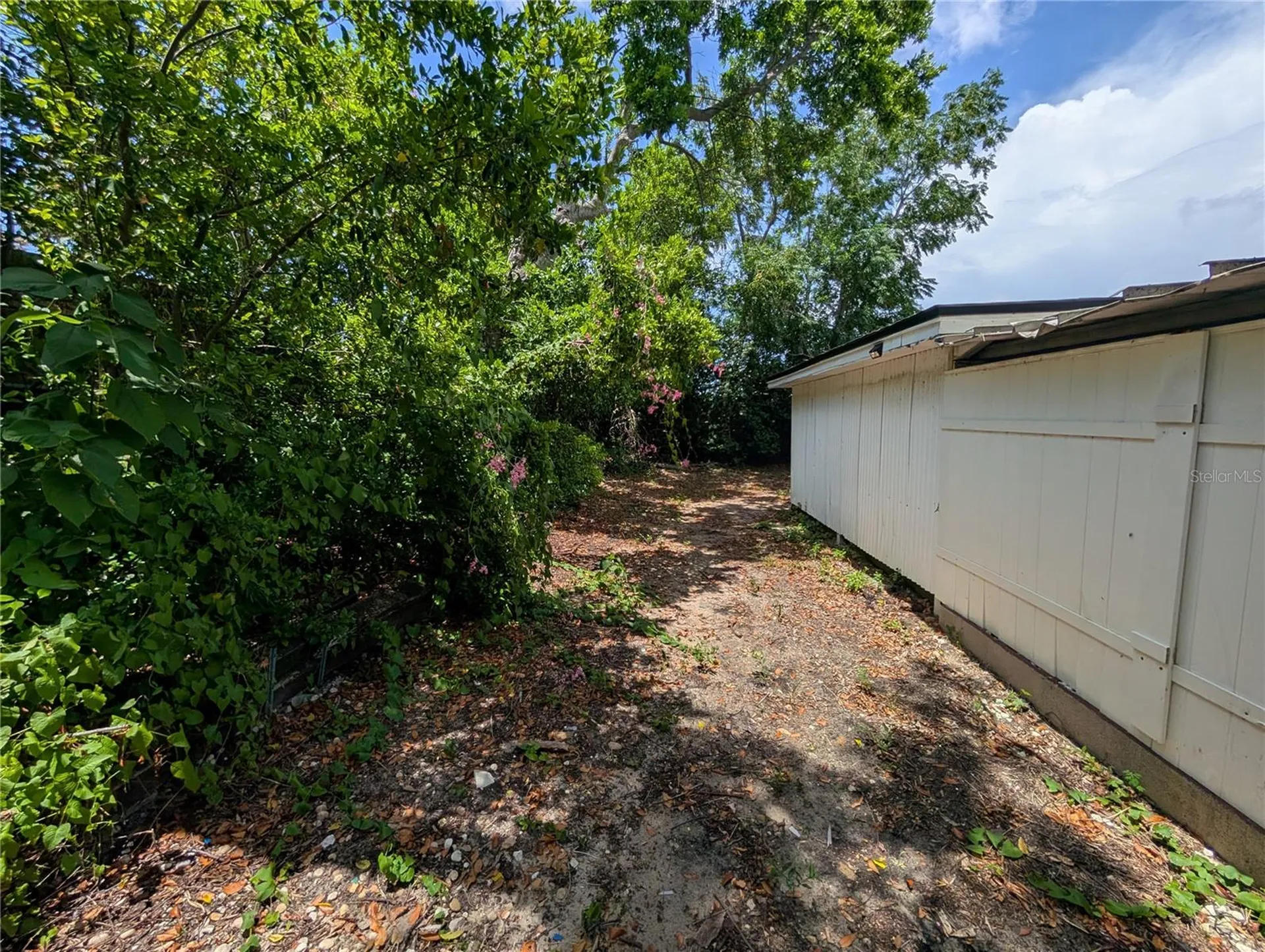 3337 Clydesdale Drive Holiday FL 34691