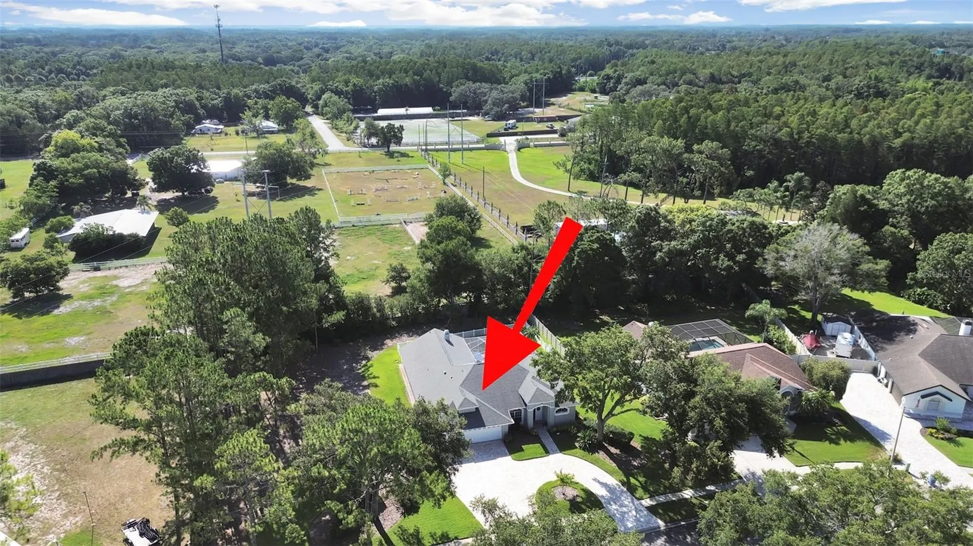 17110 Downs Drive Odessa FL 33556