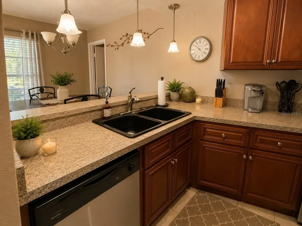 3964 Dream Oak Place Tampa FL 33613
