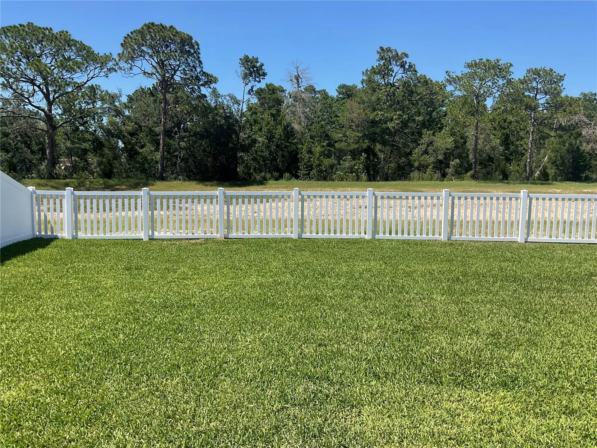 3808 Benham Rise Road Spring Hill FL 34609