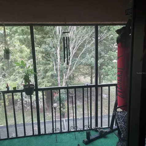4927 Puritan Circle Tampa FL 33617