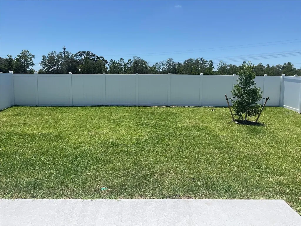 3521 Hornbeam Road Spring Hill FL 34609