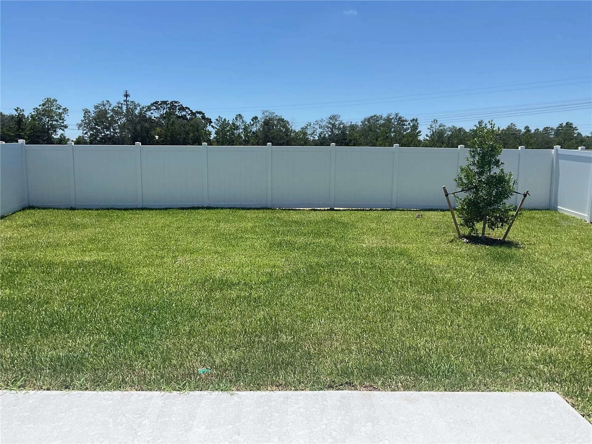 3521 Hornbeam Road Spring Hill FL 34609