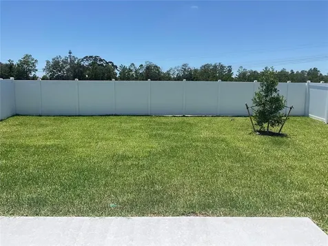3521 Hornbeam Road Spring Hill FL 34609