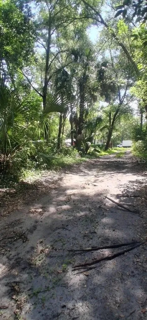 2700 Junction Road Zellwood FL 32798