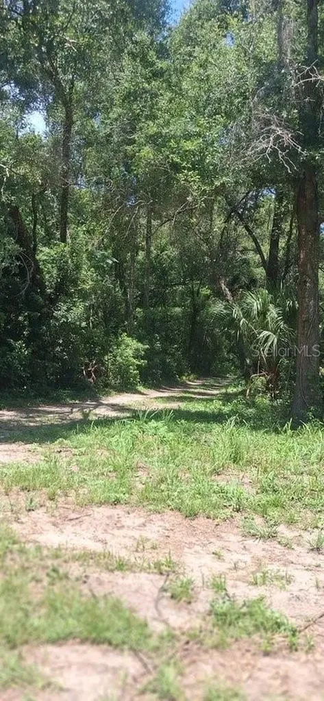 2700 Junction Road Zellwood FL 32798