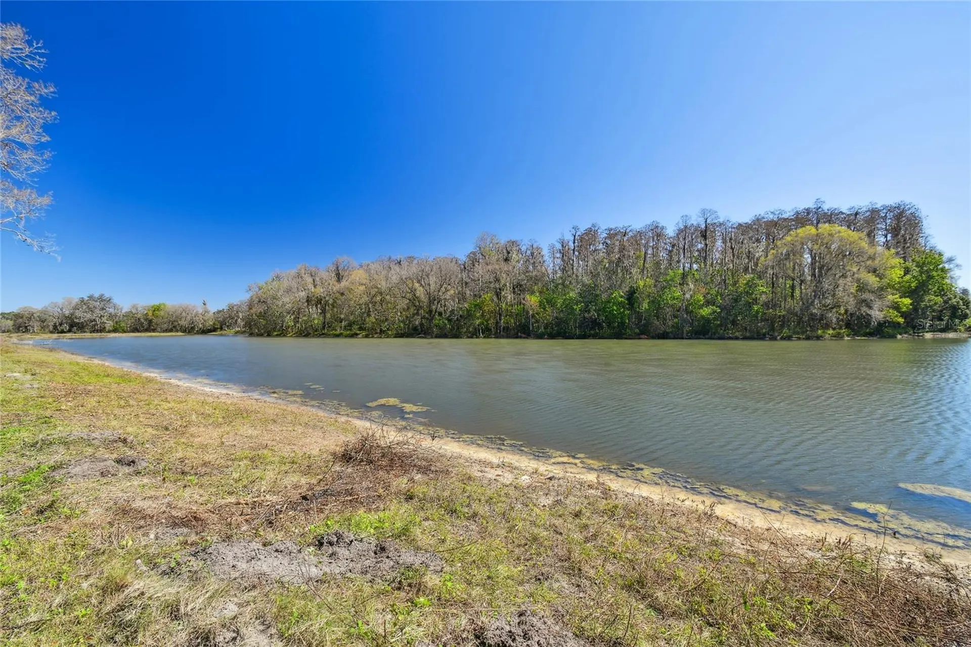 6644 Country Club Road Wesley Chapel FL 33544