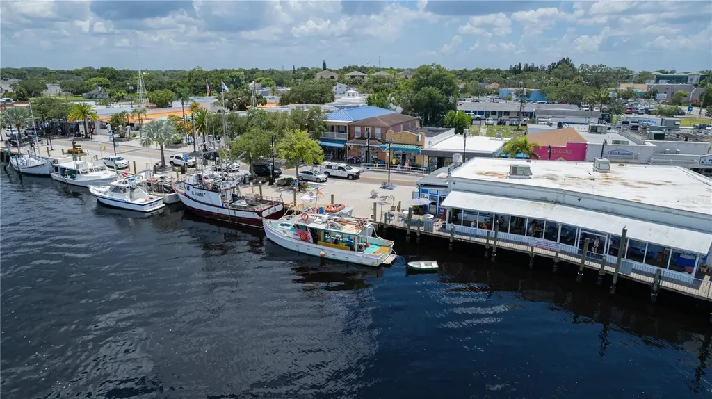 1421 Ridge Terrace Tarpon Springs FL 34689