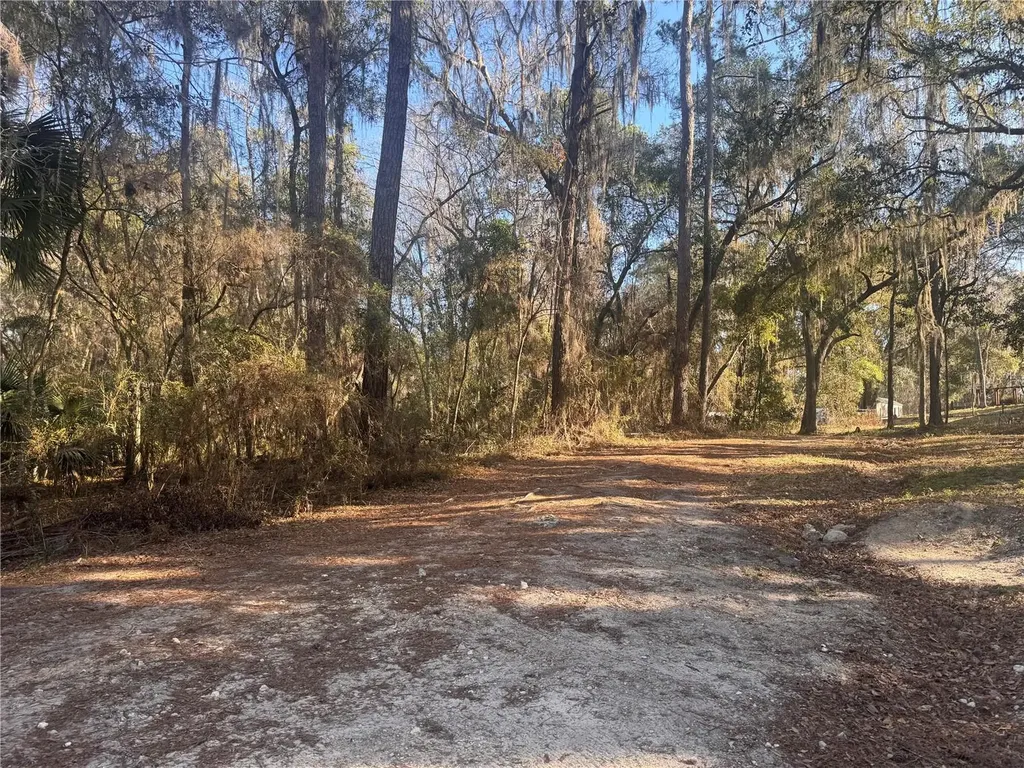0 198th Lane Fort Mc Coy FL 32134