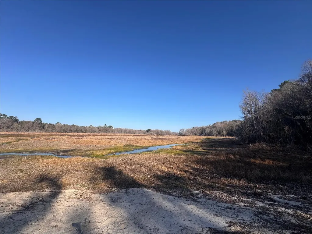 0 198th Lane Fort Mc Coy FL 32134