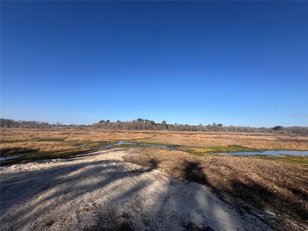 0 198th Lane Fort Mc Coy FL 32134
