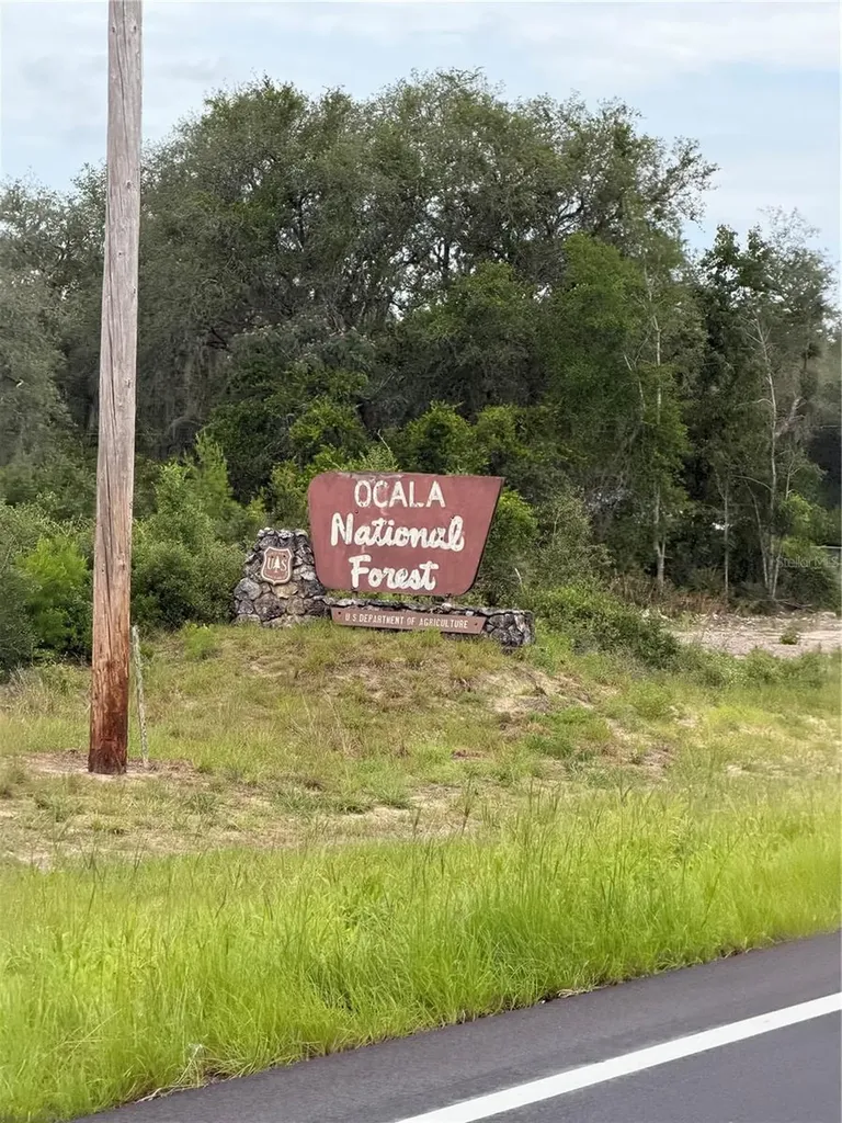0 198th Lane Fort Mc Coy FL 32134