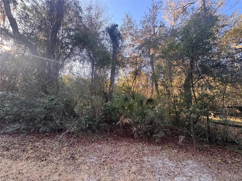 0 198th Lane Fort Mc Coy FL 32134