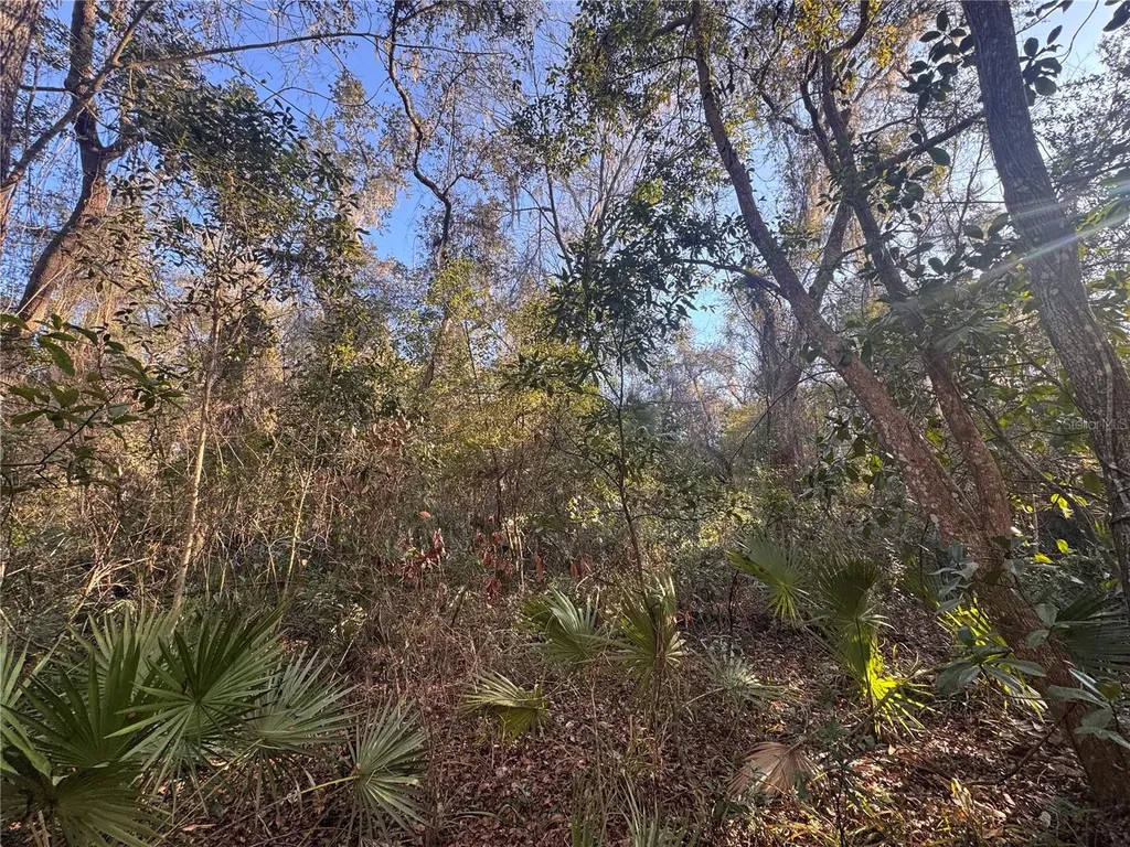 0 198th Lane Fort Mc Coy FL 32134
