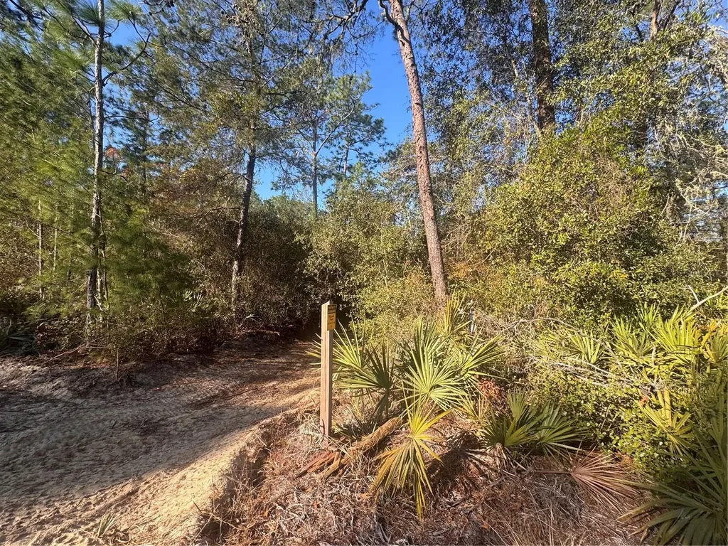 0 198th Lane Fort Mc Coy FL 32134