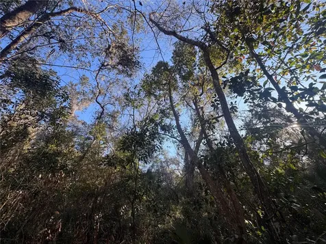 0 198th Lane Fort Mc Coy FL 32134