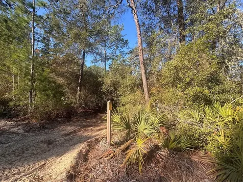 0 198th Lane Fort Mc Coy FL 32134