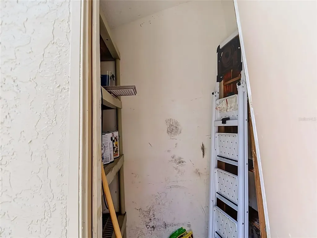 5100 Burchette Road Tampa FL 33647