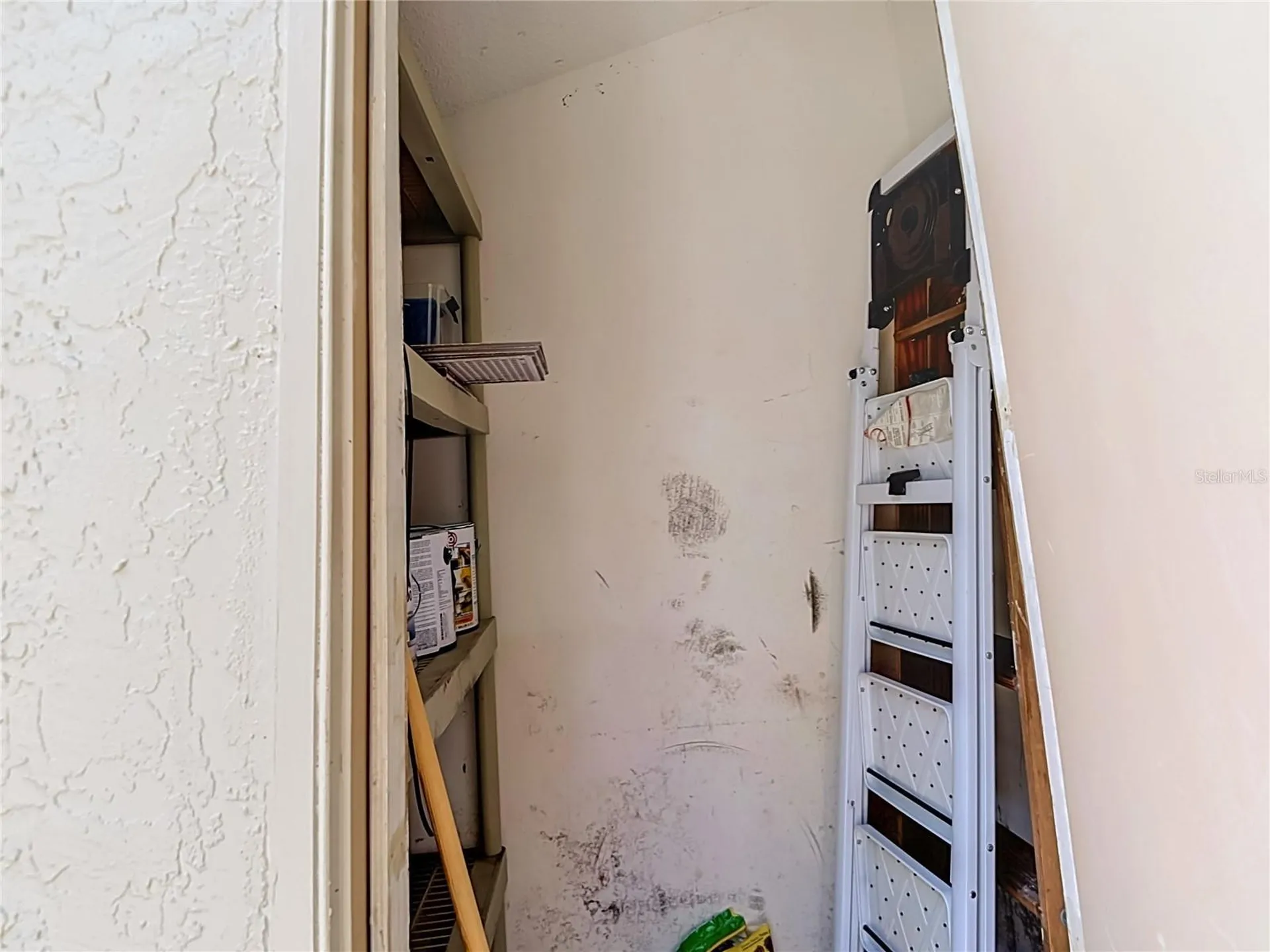 5100 Burchette Road Tampa FL 33647