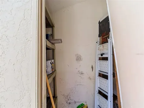 5100 Burchette Road Tampa FL 33647