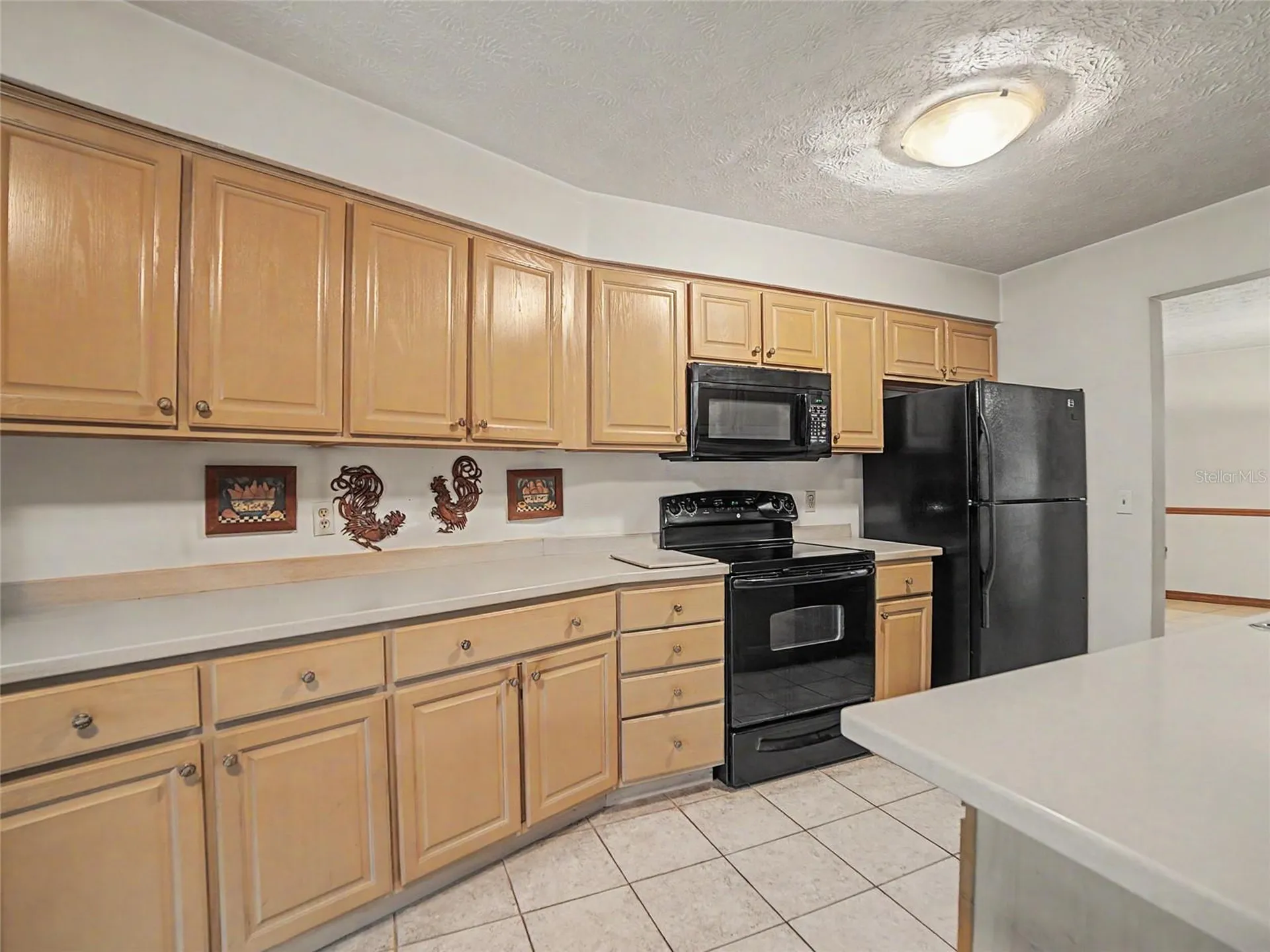 891 Timber Pond Drive Brandon FL 33510
