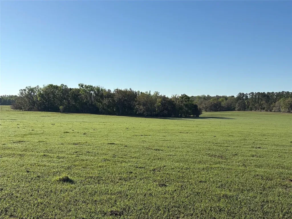 0 Citrus Way (ne Corner Of Citrus Way And Parsons Rd) Brooksville FL 34601