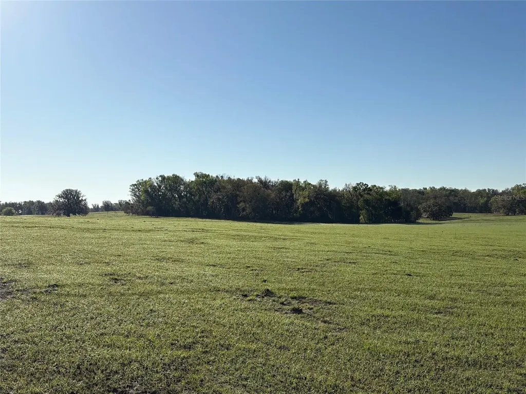 0 Citrus Way (ne Corner Of Citrus Way And Parsons Rd) Brooksville FL 34601